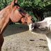 Norbert Huber - Facebook