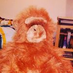 norbert huber - @oix29492 - Instagram