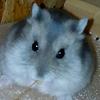 norbert.king - @kingster.norbert - TikTok