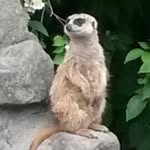 Norbert Meier - @norbert.meier.3344 - Instagram