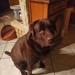 Norbert Meyer - @norbert.meyer.1291 - Instagram