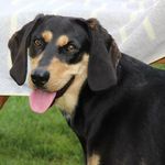Norbert Meyer - @norbert.meyer.520 - Instagram