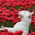 Norbert Miller - @norbert.molnar.313 - Instagram