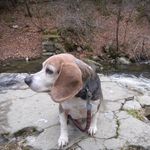 Norbert Miller - @miller_norbert - Instagram
