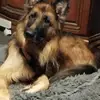 Norbert Sass - @norbertsass - TikTok