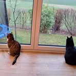 Norbert Schneider - Facebook