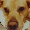 norbertschneider513 - @norbertschneider513 - TikTok
