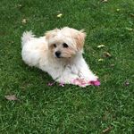 Norbert Sieber - @19norbert60 - Instagram