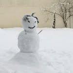 Norbert Stein - @norbert.stein.54 - Instagram
