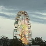 Norbert Stein - @norbertstein - Instagram