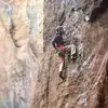 Norberto Stein - @norbertostein - TikTok
