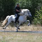Norbert Stelzer - Facebook