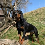 Stelzer Norbert - Facebook