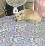 Norberto Colón - Facebook