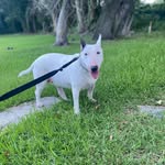 Norberto Cortes - @norbertocortes77 - Instagram