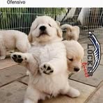 Norberto Cortes - Facebook