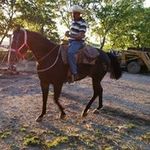 Norberto Estrada - @estrada_norberto - Instagram