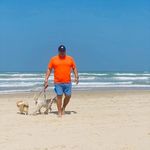 Norberto Estrada Gutierrez - @norbertoestrada1 - Instagram