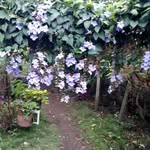 Norberto Osorio - @norberto.osorio.5648 - Instagram