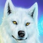 Norberto Osorio - @osonorb09 - Instagram