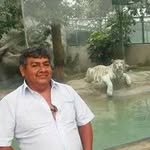 Norberto Osorioreyna - @norbertoosorioreyna - Instagram