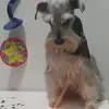 Norberto Rios Osorio - @norberto.rios.oso - TikTok