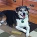 Noreen Carson - Facebook