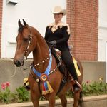 Noreen Clark - @pijol28508 - Instagram