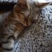 Noreen Clark - Facebook