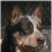 Noreen Clark - Facebook
