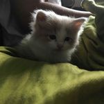 Noreen Cook - @tota.cook53 - Instagram