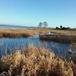 Noreen Corcoran - @norcor25 - Instagram