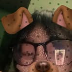 Ellisha Nollen - Facebook