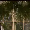 Nora Glover - @nora.glover - TikTok