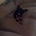 Noreen Huffman - Facebook