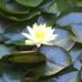 Noreen Lee - Facebook