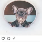 Noreen Lee - @lee.noreen - Instagram