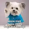 Noreen P. Lee - @noreen.p..lee - TikTok