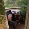 noreenmccarthy20 - @noreenmccarthy20 - TikTok