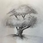 Kim✏️ - @noreen_meyer2004 - Instagram