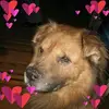 Noreen Mullan - @norbk718 - TikTok