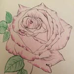 Grandma Nolan - @noreennolan - Instagram