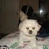 noreenray37 - @noreenray37 - TikTok