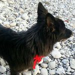 Noreen - @noreenroache - Instagram