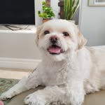 Noreene Lampa Baroya - @noreenebaroya - Instagram