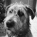 Noreen Ryan - Facebook