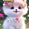 Noreen Ryan - @noreen.ryan8 - TikTok