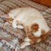 Noreen Starr - Facebook