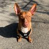 Coreen Stinson - @loopythepodenco - TikTok