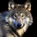 Noreen Wall - Facebook